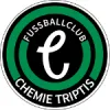 FC Chemie Triptis (N)