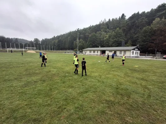 31.08.2024 VfR Bad Lobenstein II vs. SV BW Neustadt III