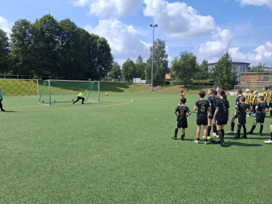 03.08.2024 FC Thüringen Weida vs. VfR Bad Lobenstein