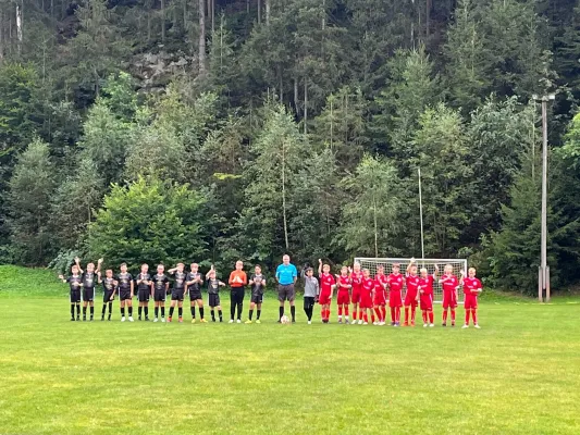 25.08.2024 VfR Bad Lobenstein II vs. SV BW Neustadt II